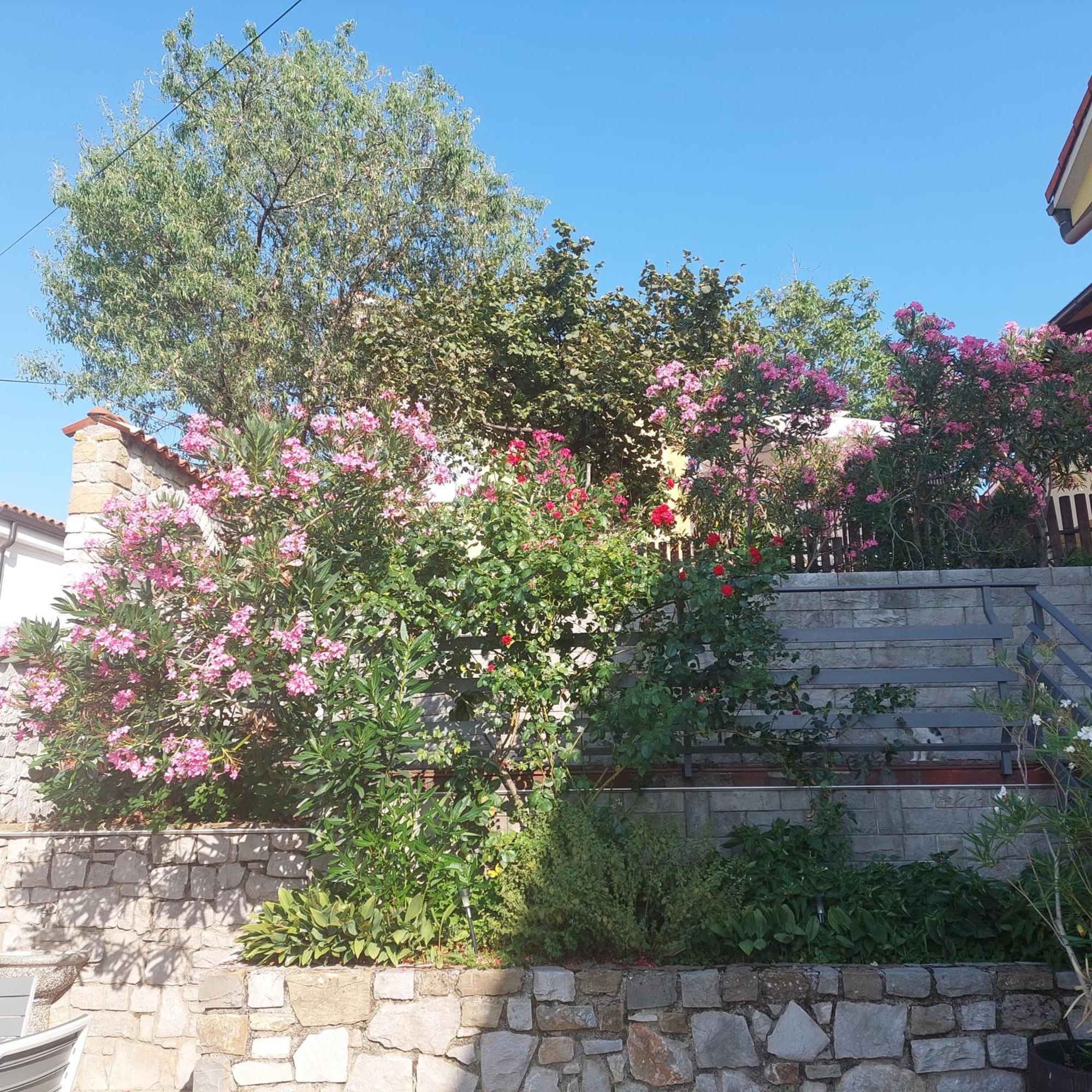 Apartma Nika Pobegi ภายนอก รูปภาพ